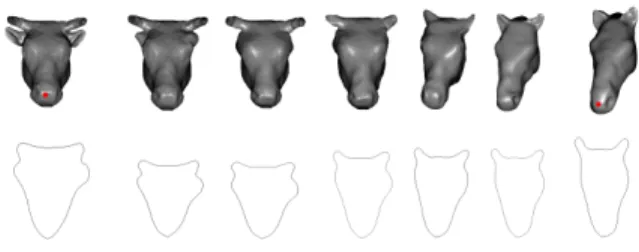 Figure 2: Geodesic path between two curves (last level) of cowhead part and horse-head part