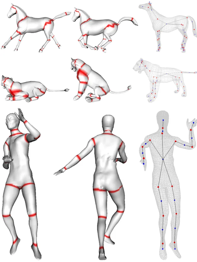 Figure 4: For each row, dynamic surfaces and their corresponding kinematic skeletons.