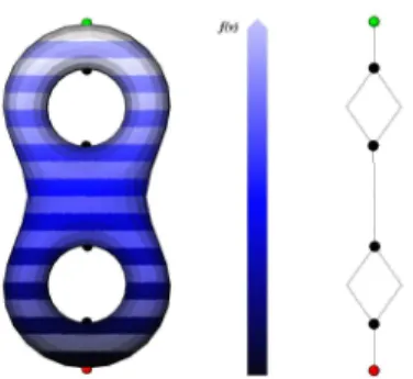 Figure 2. Evolution of the level lines of the height function on a bi-torus, its critical points and its Reeb graph.