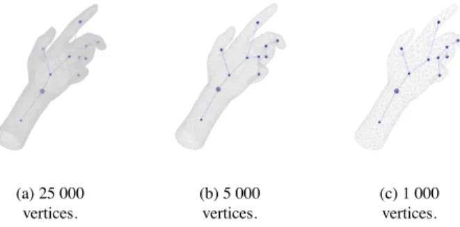 Figure 8. Bifurcation and junction contexts on a torus shape (height function).