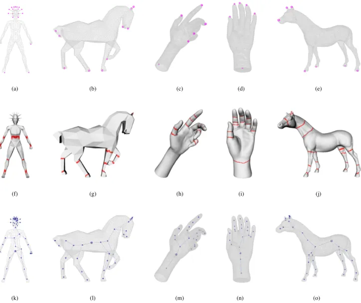 Figure 12. Feature points, constriction approximations and enhanced topological skeletons of stan- stan-dard models.
