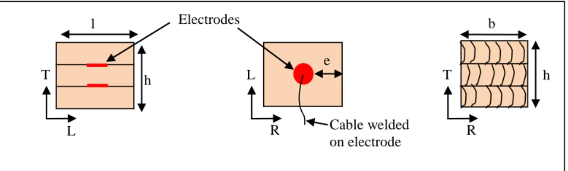 Figure 1: Instrumentation of glulam specimen with surface electrodes (example of cube specimen 30 x 30 x 30  mm 3 )