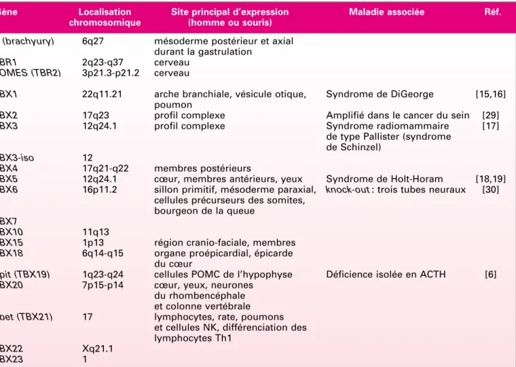 Tableau I. Gènes à boîte T présents dans le génome humain.