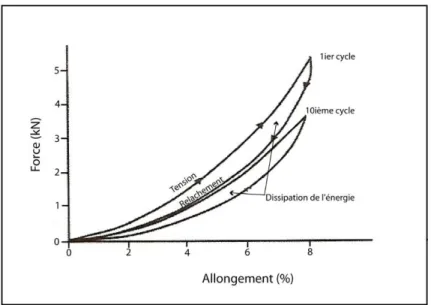 Figure 9 : Cycle d’allongement et de relâchement du tendon fléchisseur superficiel du doigt chez le Cheval  Au fur et à mesure que le tendon est mis sous tension puis détendu, une partie de l’énergie emmagasinée par  le tendon est perdue sous forme de chal