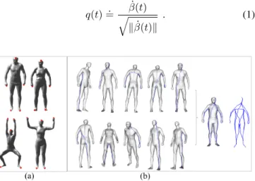 Fig. 1: Body curves extraction: (a) feature points extracted from human body surface, (b) human body represented as a collection of extremal curves.