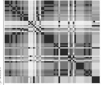 Figure 4. Similarity matrix: a dark region represents a high similarity.