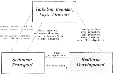 Figure 7: Feedbacks between the turbulent boundary layer, bedform developnient and sediment transport (Best, 1993).