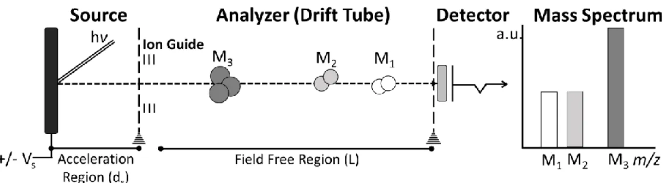 Figure 1-3: Linear TOF MS System Schema. A linear TOF MS is composed of an accelerator  embedded in the ion source, ion guides that lead the ion to the linear flight tube, and an ion detector  at the other end of the flight tube