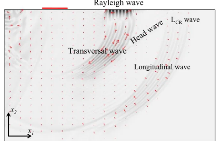 Figure 4: Predicted results of distribution of displacement  amplitude with transient excitation at t=8 μ s