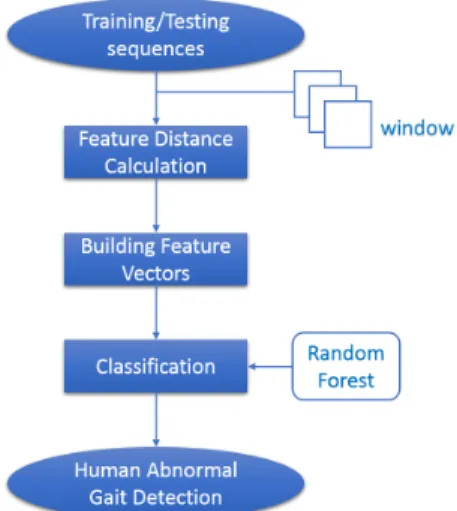 Figure 1: Overview of our method. Three main steps are shown: