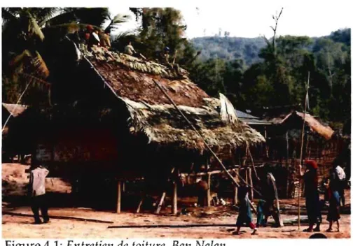 Figure 4.1:  Entretien  de  toiture,  Ban  Na/ail  (Source: Lachapelle, 2006) 