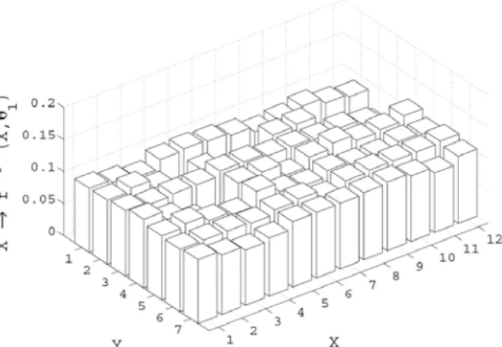 Figure 1. First experimental realization of the volume fraction random field. 