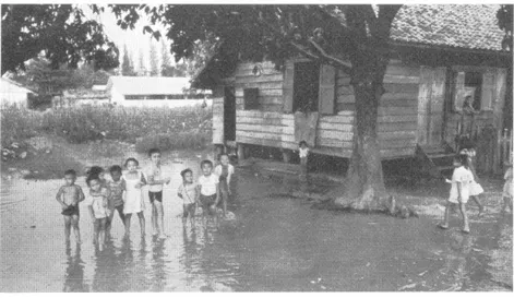 Fig.  4.  — Karang Anyar A (sud de la terrasse centrale,  inondée par une  marée de vives-eaux)