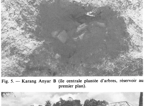 Fig.  6. — Karang Anyar  A  (terrasse  centrale,  briques  in  situ,  dans  un  puits  creusé par les  paysans; photo E.E