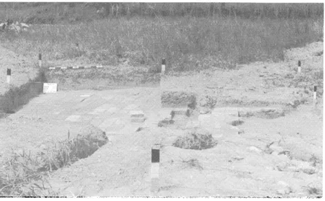Fig.  23.  — Kambang  Unglen,  fouilles  du  Puslit  Arkenas  (7/1987): 