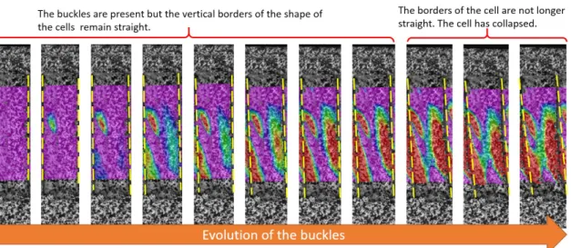 Figure 8: Buckling evolution of a cell 