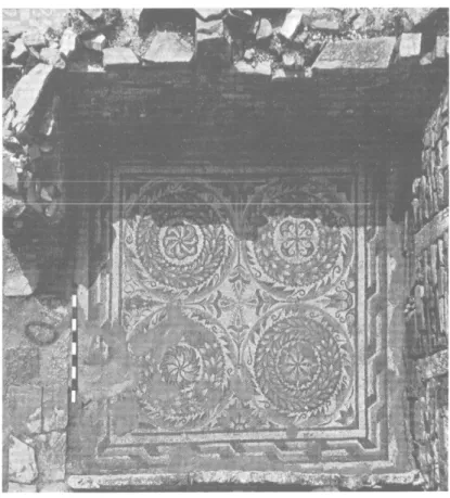 Fig.  11  —  Thuburbo  Majus,  Maison  des  Protomés.  Tapis  à  couronnes  d'acanthe,  in  situ