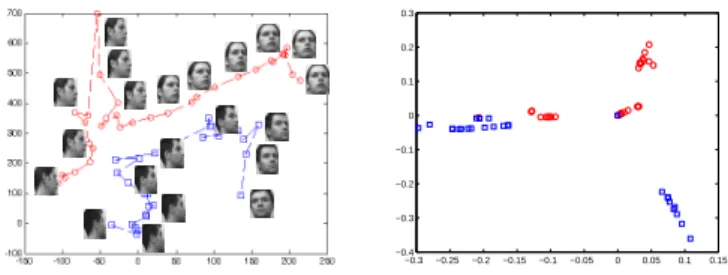 Fig. 1. (Left) This figure shows the distribution of two classes corresponding to two individuals