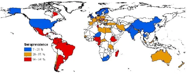 Figure  2.  Niveaux  de  séroprévalence  de  la  toxoplasmose  dans  le  monde  au  cours  des  20  dernières années (d’après Dubey et al (2010) et Afssa (2005))