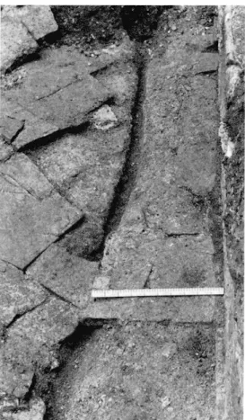 Fig.  7  Trace  d'une  canalisation  d'adduction  d'eau  à  proximité  du  mur ouest. 
