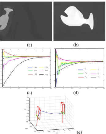 Figure 3: Results for complex images: (a) initial image, (b) desired image, (c) velocities, (d) features errors mean