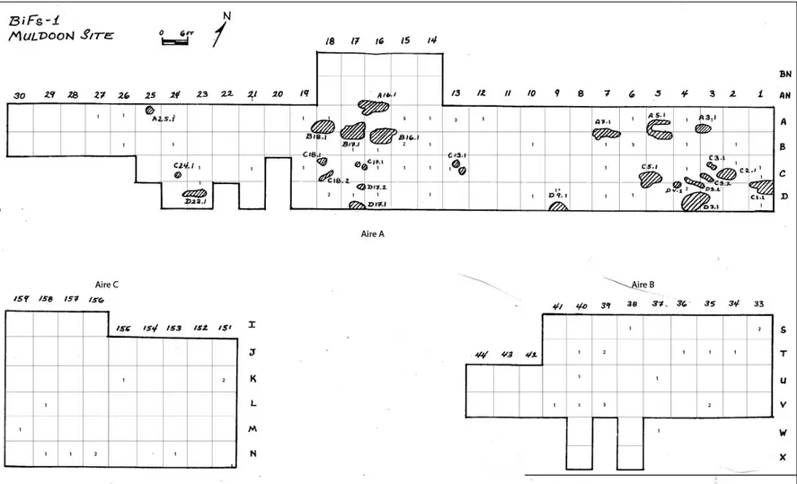 Figure 5. Plan d’excavation du site Muldoon (BiFs-1). Les chiffres dans les cases représentent le nombre de haches ou d’herminettes qui fut  trouvé dans cet unité de fouille, les zones hachurées représentent des fosses remplies d’un sol organique foncé