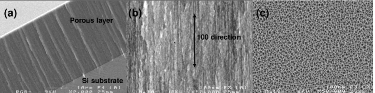 FIG. 1: Scanning electron micrographs of the porous silicon film. (a) side view at low magnification showing the 30 µm thick porous layer attached to the silicon substrate