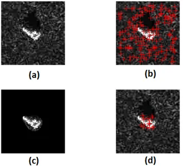Fig. 2: SIFT and Salient SIFT keypoints distribution. (a)SAR image. (b) SIFT keypoints distribution