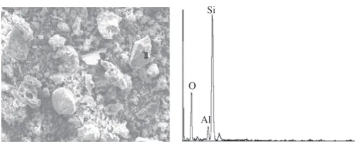 Fig. 1. Micromorphology of the quartz.