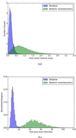 Fig. 1: (a) Histograms of raw sonar patches. (b) Histograms of the same patches but projected into the Earth frame at a slightly coarser resolution.