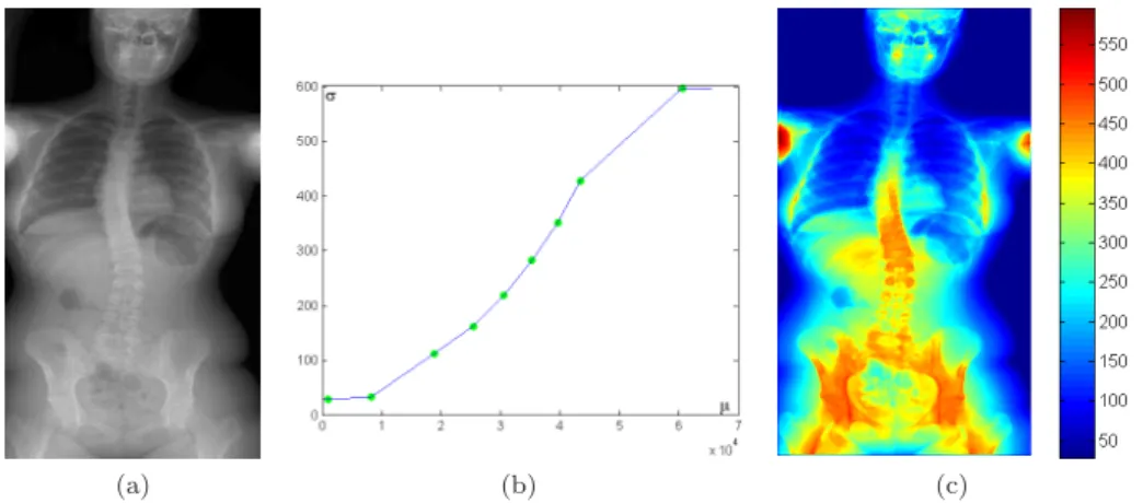 Figure 1: Noise estimation using the percentile method: (a) Input image I. (b) Interpolated noise curve from the n points (µ i , σ i )