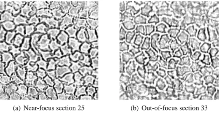 Figure 8: Castleman’s OTF approximation (Castleman, 1996) of a simulated