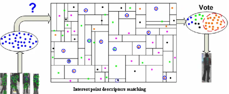 Figure 2b: Schematic view of re-identification of a query. 