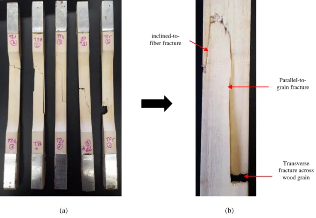 Figure 8: Failure patterns observed for poplar specimens (b) Failure modes in TP3 specimen 