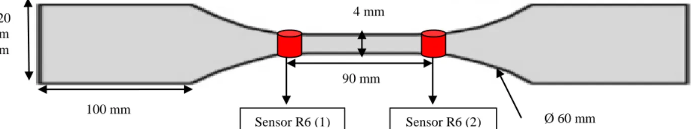 Figure 1: Tensile specimen and sensors position