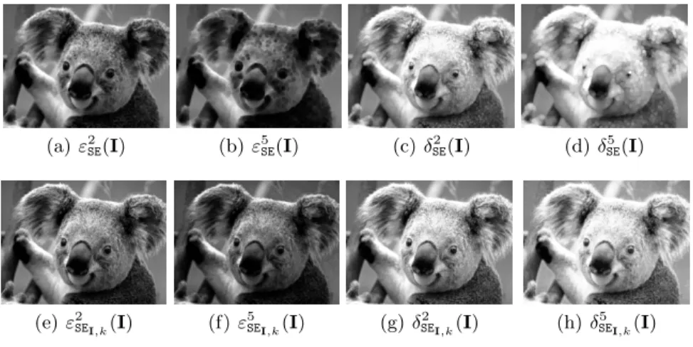 Fig. 6. Examples of classical (top) and sparse nonlocal (bottom) erosion and dilations, where patches are squares 5 × 5, σ = 200 and k = 5