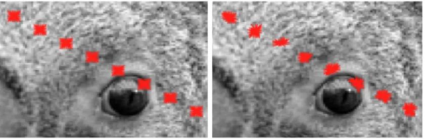 Fig. 1. SE vs SE I for some pixels.