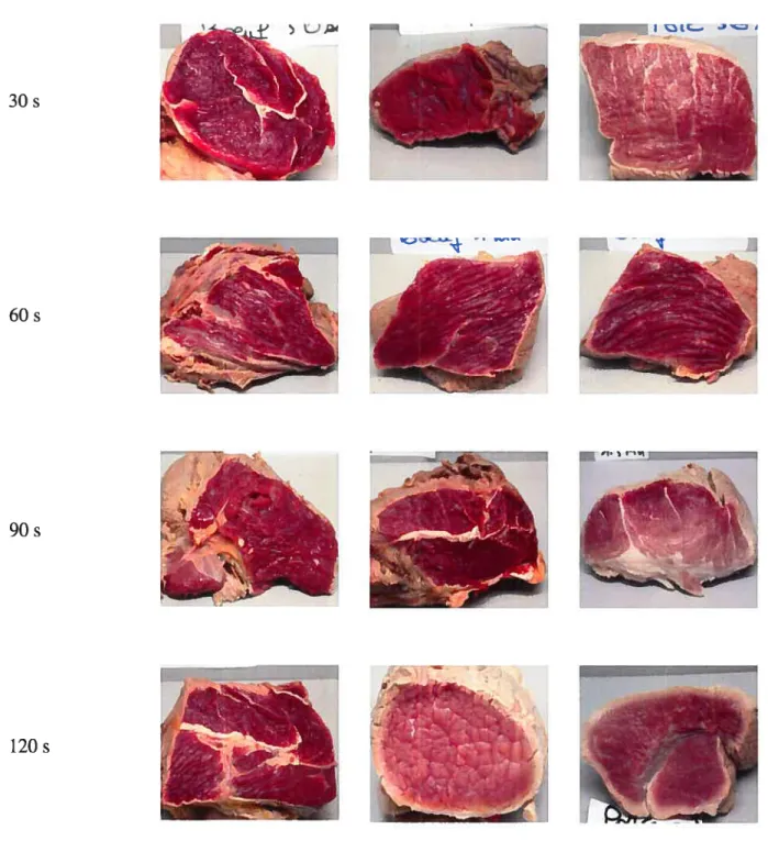 figure 1: Visualisation de l’effet du temps de trempage sur la couleur des pièces de viande immergées dans l’eau chaude à 85°C (3 échantillons par temps)