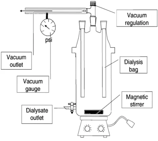 Figure  3.1.  Quick -fit assembly  used  for  dilalysis  under  vaccum  process  for  purification  and  concentration of nanosphère dipspersion