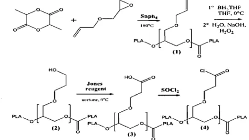 Figure  1.5.  Synthèse  du  PLA  greffé  avec  plusieurs  groupes fonctionnels:  1)  allyle,  2)  hydroxyle, 3) carboxyle, 4) chlorure d'acide