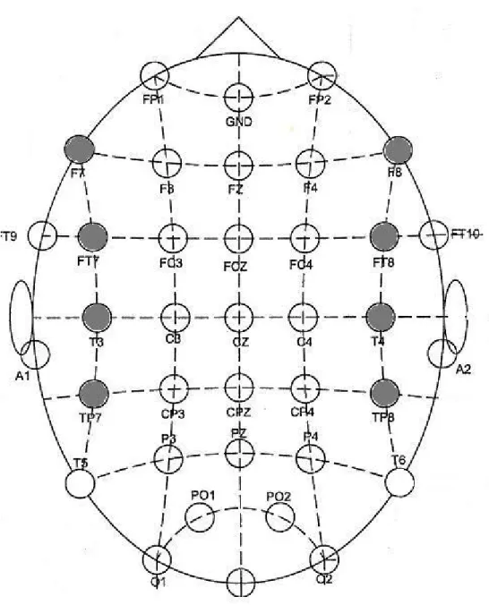 Fig 4.3- En sombre, paires d'électrodes sur lesquels les tests de latéralité ont  été effectués
