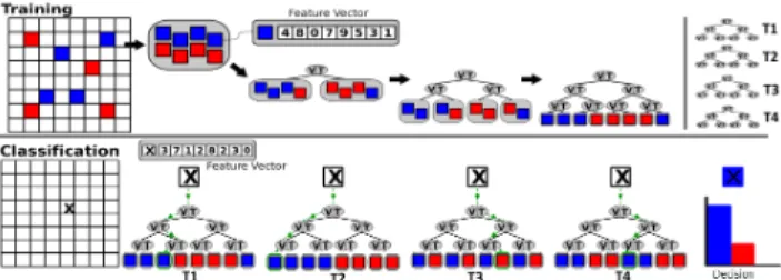 Fig. 2. Illustration of the Random Forests classifier structure. During the training (top), a random subset of labeled samples is used to build a binary decision tree