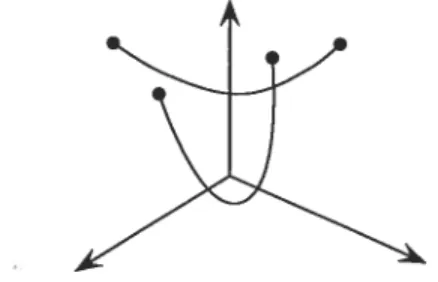 FIG. 3.3 — Weil [Weis6] définit des chaînettes entre les contraintes d’un maillage.