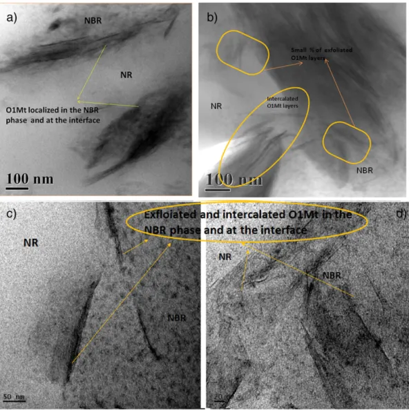 Fig. 5. SEM images showing the decrease in domain size of NBR dispersed phase.