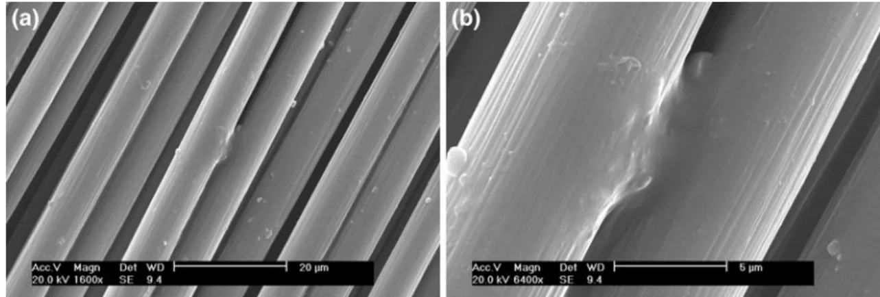 Fig. 6 Virgin unsized AS4C CF (magnification: left 91,600, right 96,400)