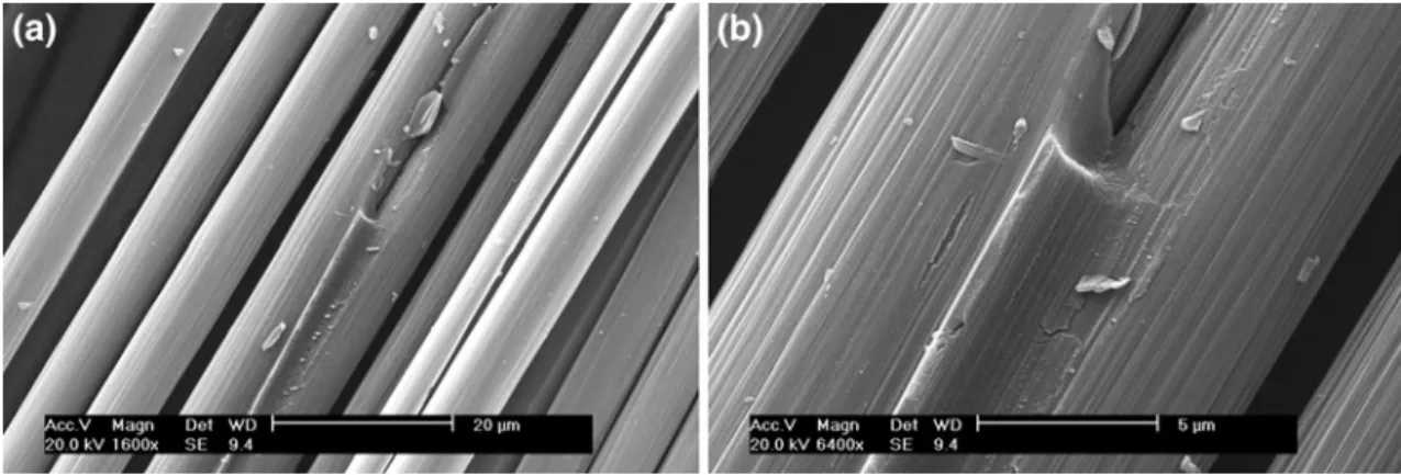 Fig. 8 Recovered CF from pyrolysis under same temperature and heating duration (magnification: left 91,600, right 96,400)
