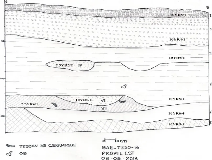 Figure 4: Ekudi-Oke-Odo-Akaba, profil Est I: sol gris labouré, meuble. II : sol compact, peu dense, gris foncé, caractérisé  par la présence de nodules rouges, de poterie, de gros morceaux de charbon et gravier