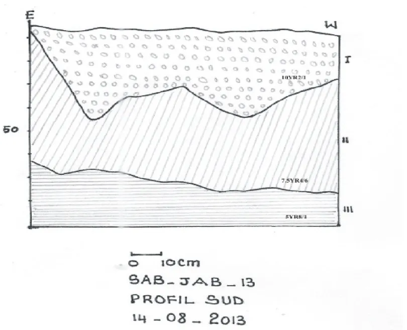 Figure 5: Igbo-Dikosa, profil Sud