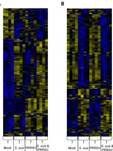Fig 4. Heat-map of hierarchical clustering analysis of differentially expressed genes