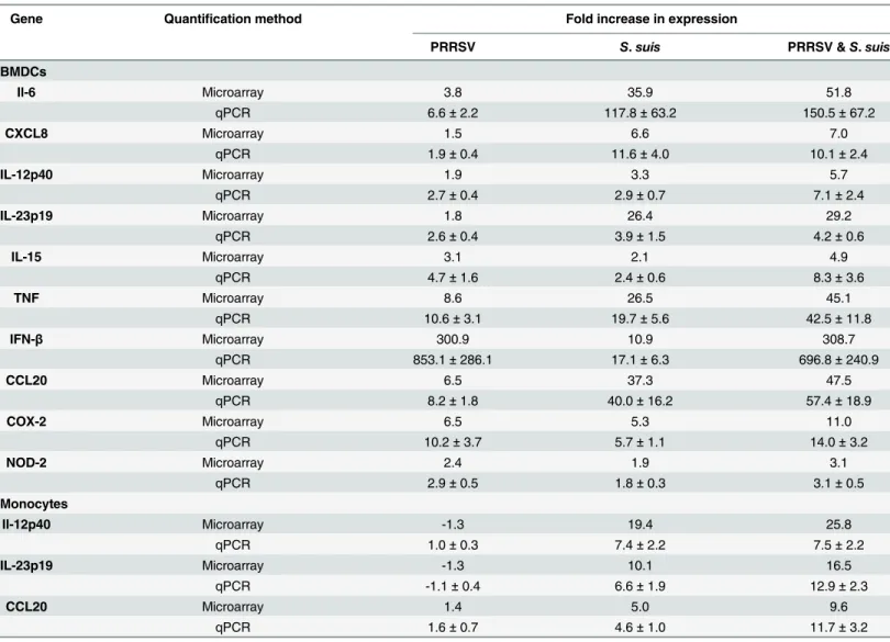 Table 2. Validation of microarray gene expression using real-time qPCR in porcine bone-marrow derived dendritic cells (BMDCs) and monocytes infected with PRRSV, S 